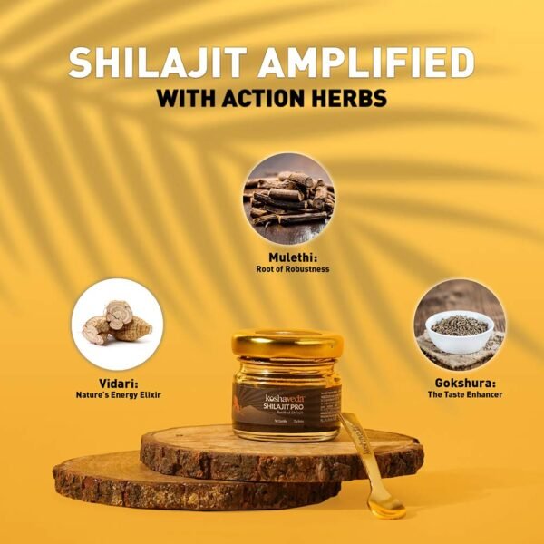 koshaveda shilajit pro