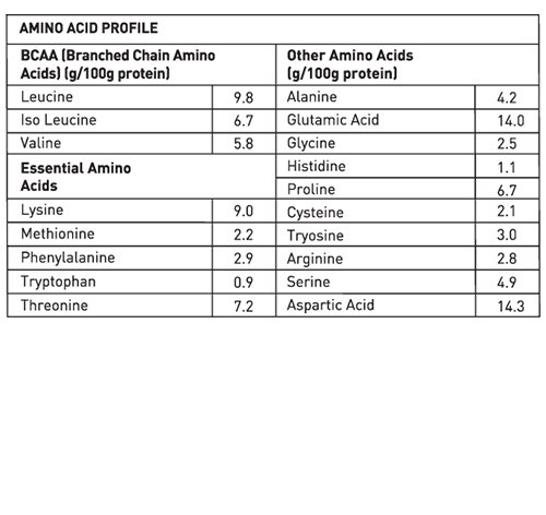 1691761305_2_2kg_BelgianChocolate_WheyProtein_NF